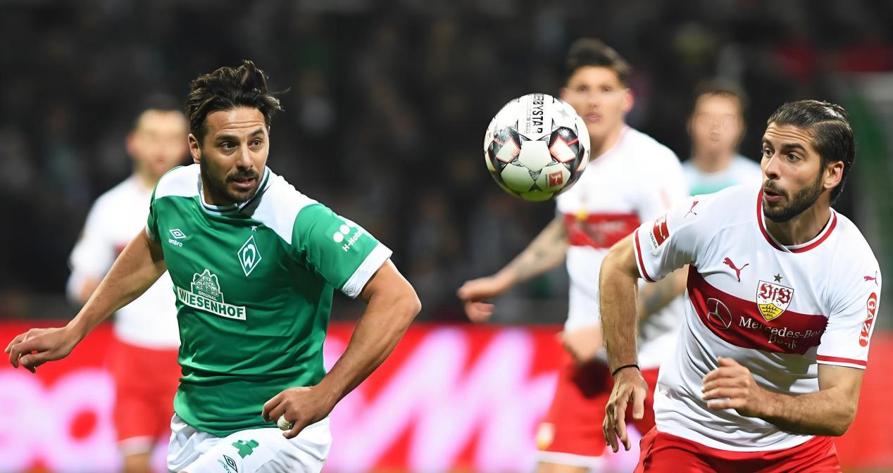 中国开云体育-费耶诺德换帅